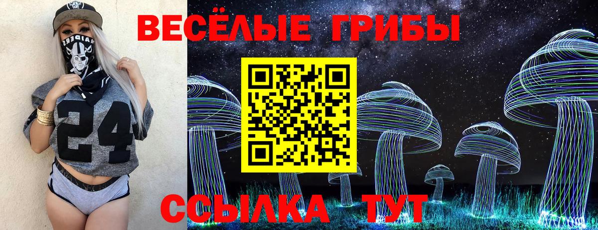 Баксан  Псилоцибиновые грибы ЛСД  Вход с VPN  Псилоцибиновые грибы Cubensis 