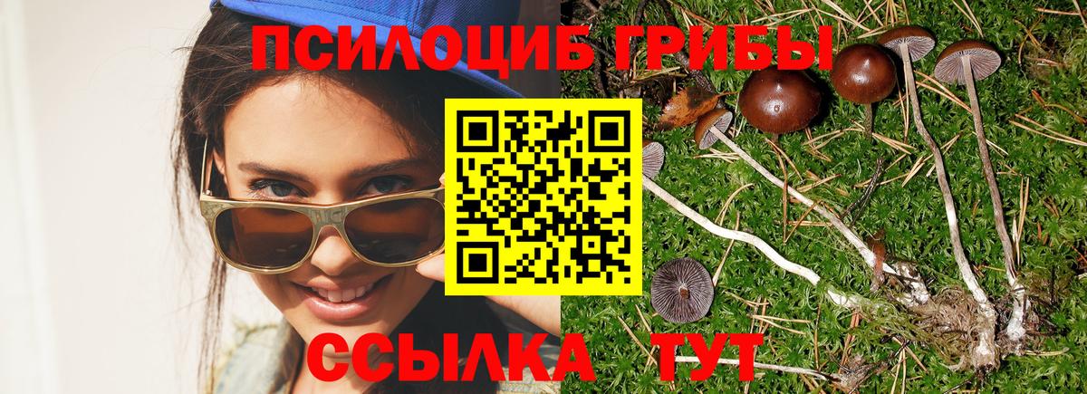 Галлюциногенные грибы Magic Shrooms Баксан